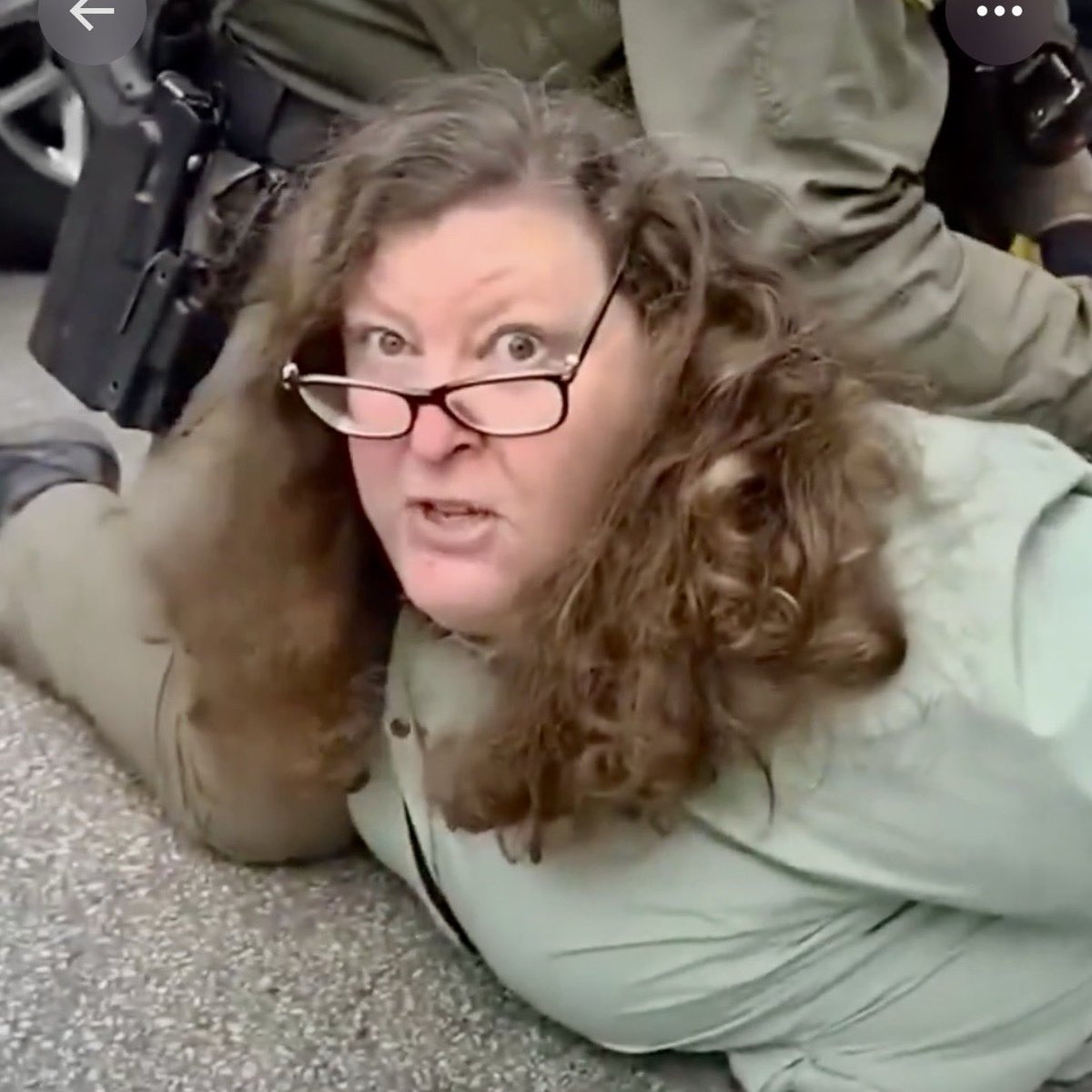Update: 

This woman, Debbie Brockman who was detained in October of 2025 after throwing an object at a Border Patrol Vehicle, has now been fired by her employer, WGN-TV Channel 9 in Chicago. 

Karma.