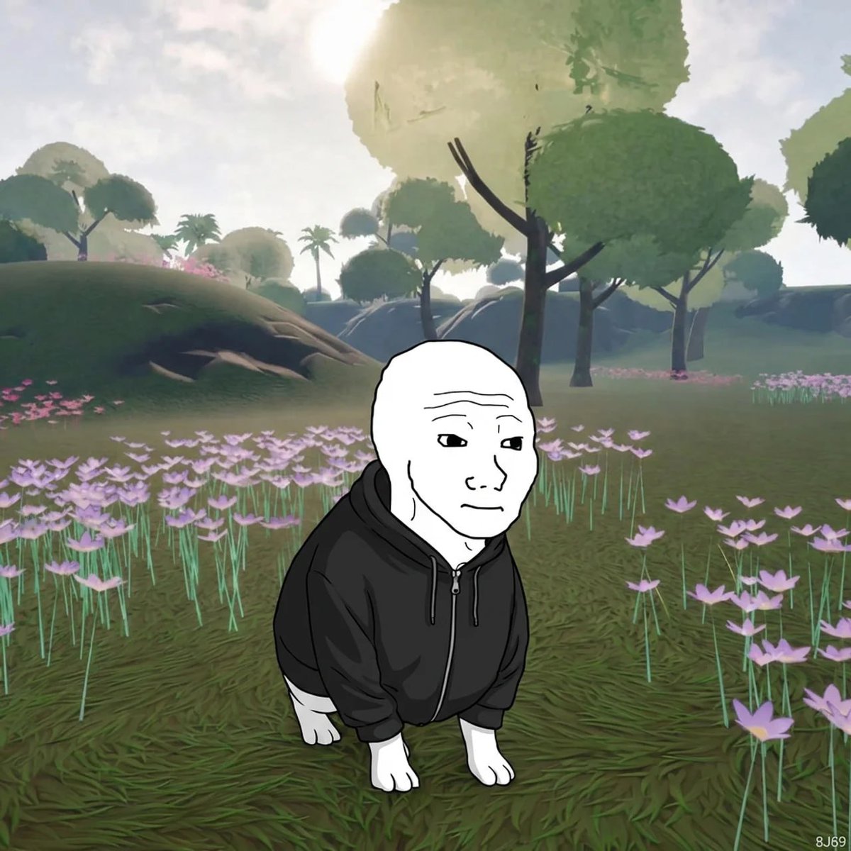 Wojak tweet media