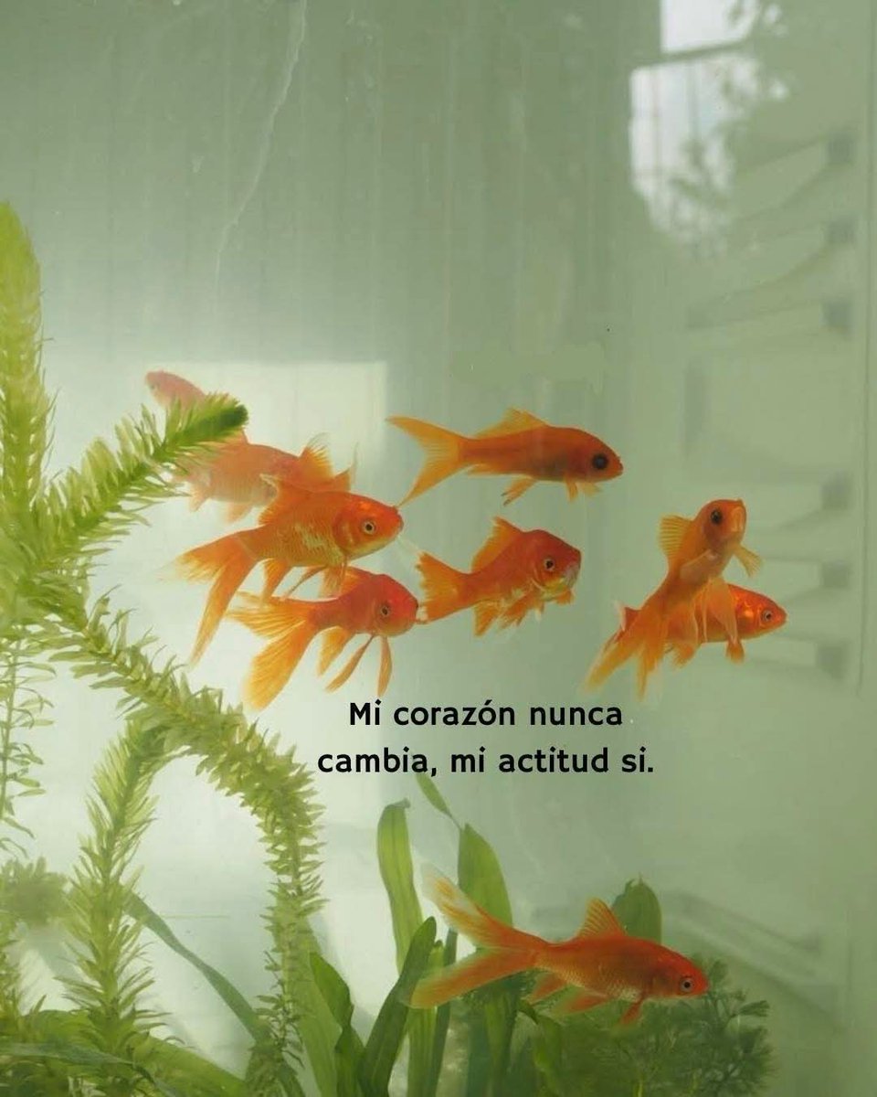 angelo_uf's tweet photo. https://t.co/7kvzoG5jOj