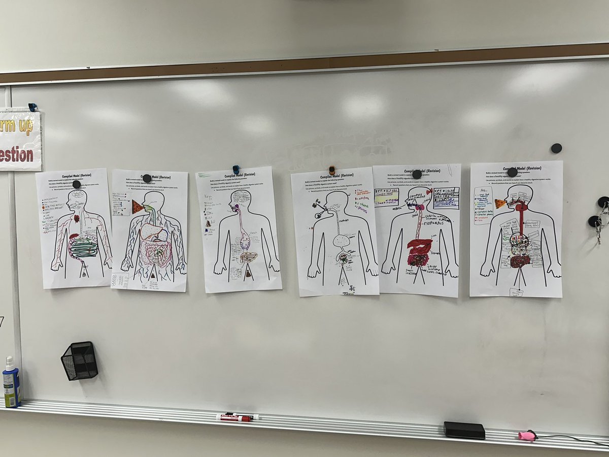 Amanda Deibert tweet media