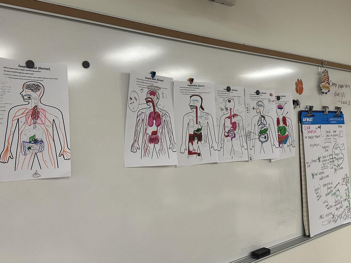 Amanda Deibert tweet media