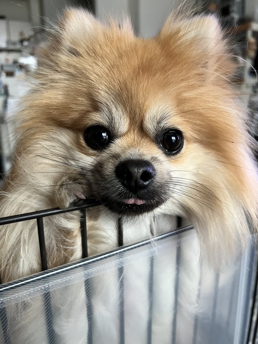 zr0905's tweet photo. #新しいプロフィール画像 https://t.co/i54j2UFFwC
