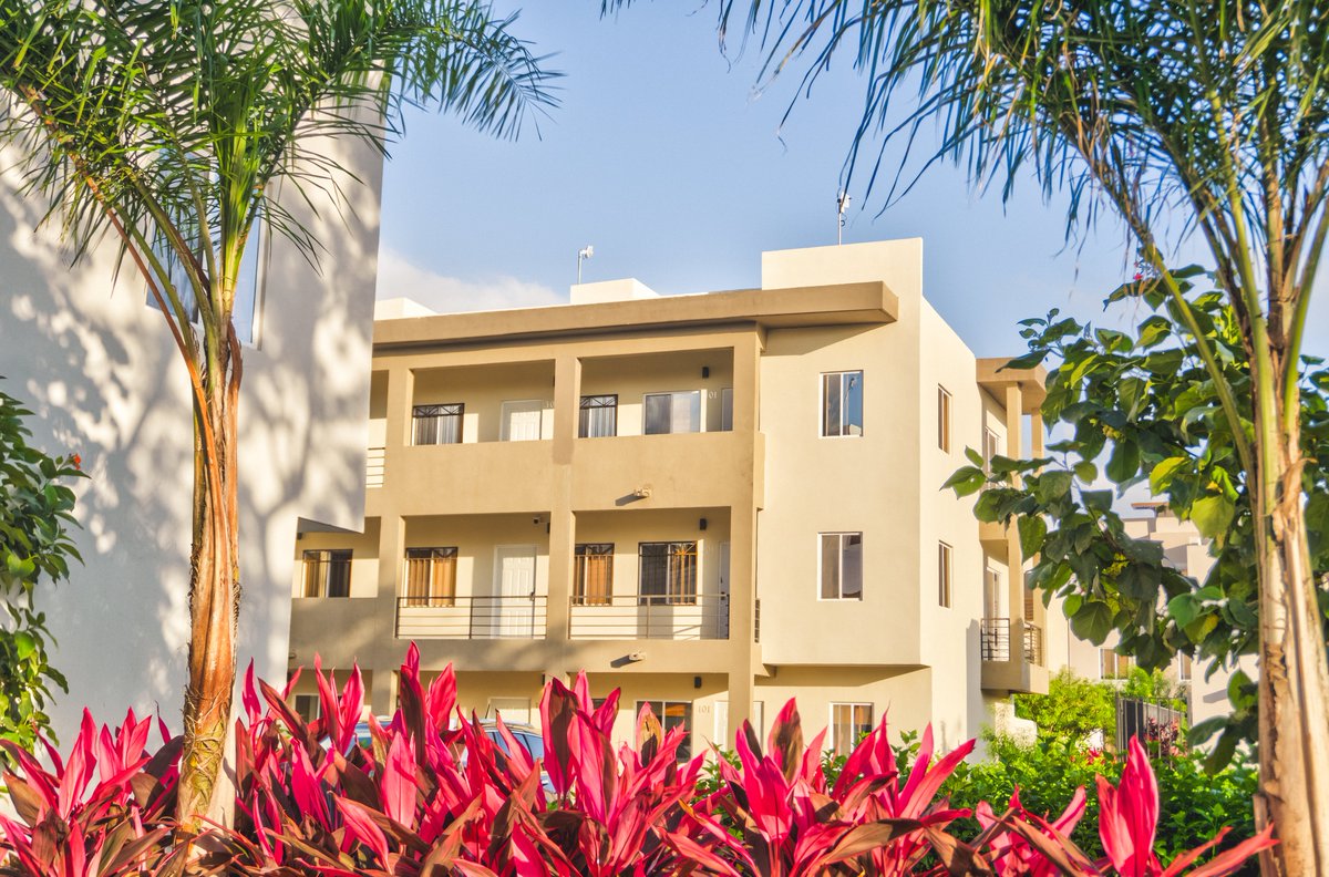 @Vinte_Mx tweet media