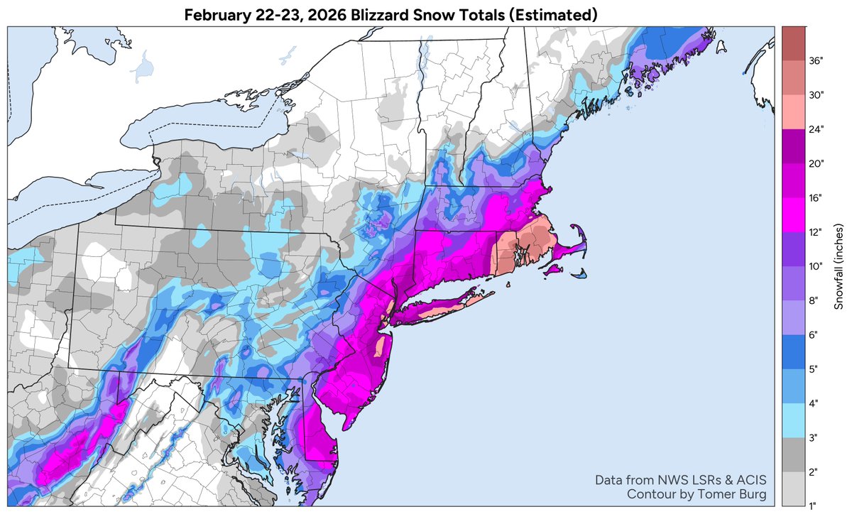 Tomer Burg tweet media