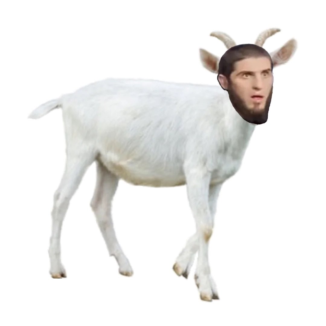 Yonathan Getachew tweet media