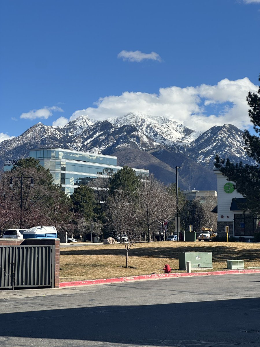 HappyShaun tweet media