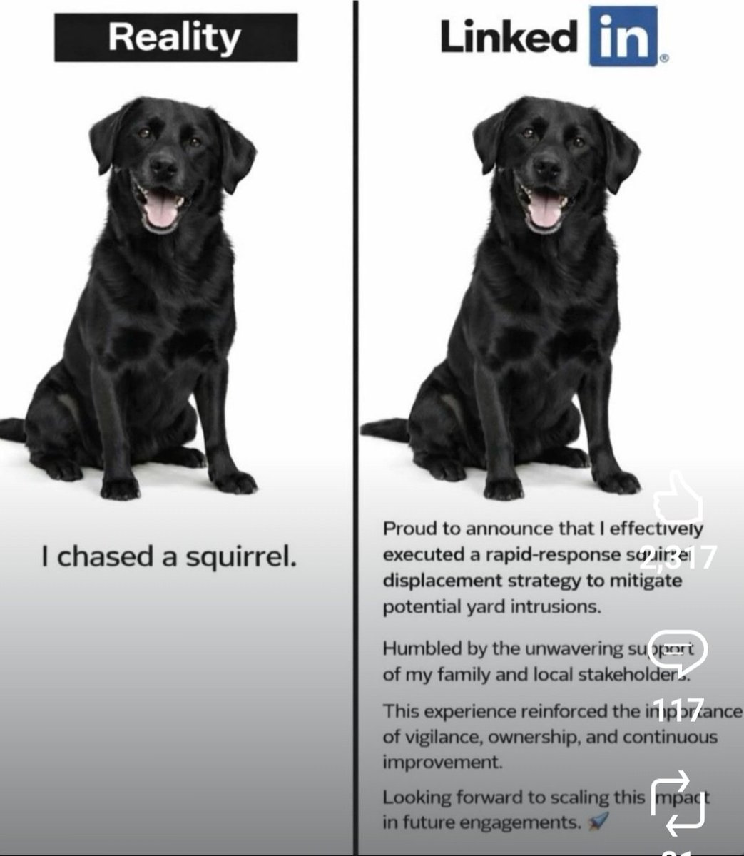 davidskryp's tweet image. #AlbertaIndependence is well over 80% committed to eliminating #RCMP:

-no more non-policing
-ending drug #traffickers 
-solving crime in our neighborhoods/cities
-cheaper #insurance 
-stopping #moneylaundering
-protecting #families

@MikeEllisUCP @albertaseparate @WScafemirror