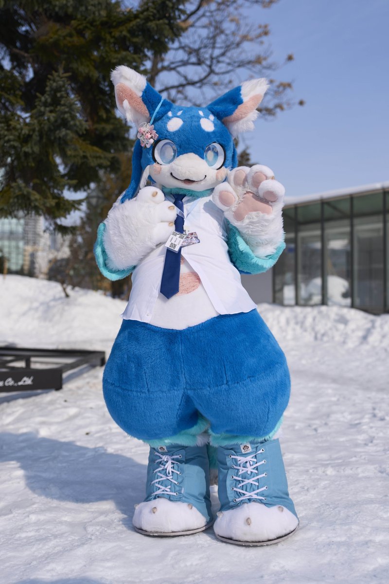 ハムねこ🍣 tweet media