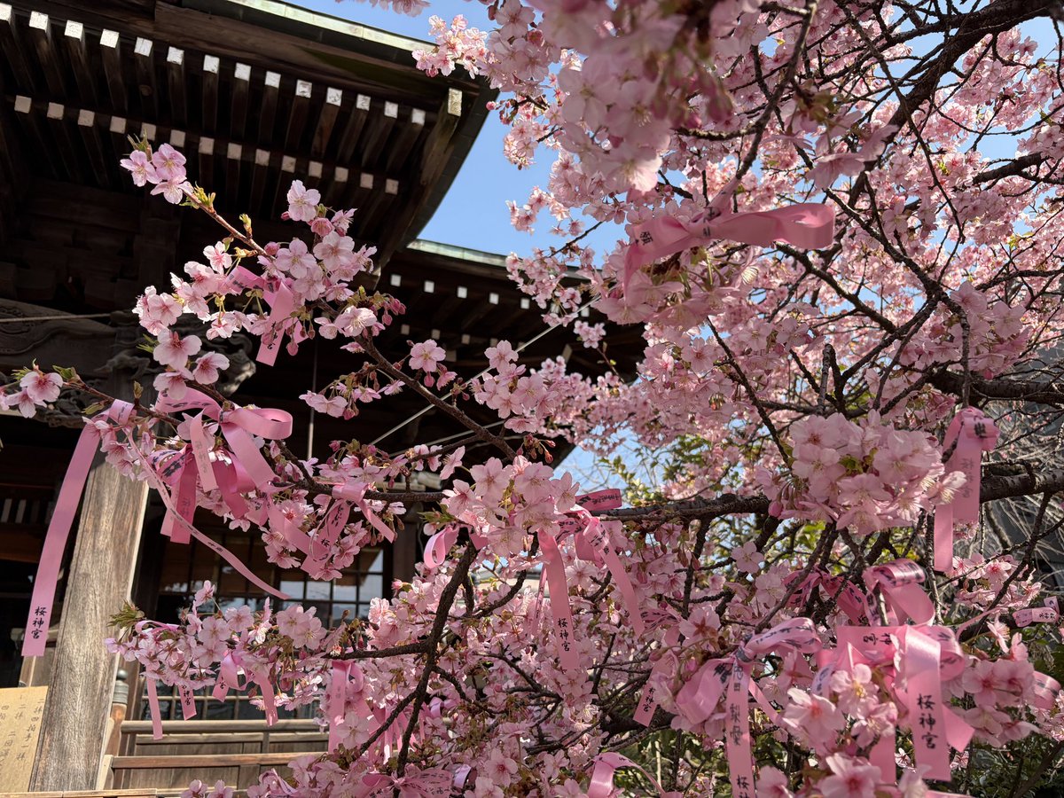 92po29's tweet photo. はる〜🌸🛼 https://t.co/cXQHfyh5Qj
