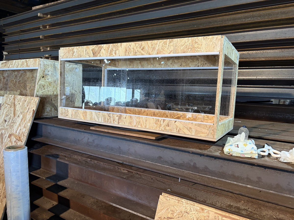 いつもありがとうございます！ 忙しくてなかなか プレゼント企画が進み