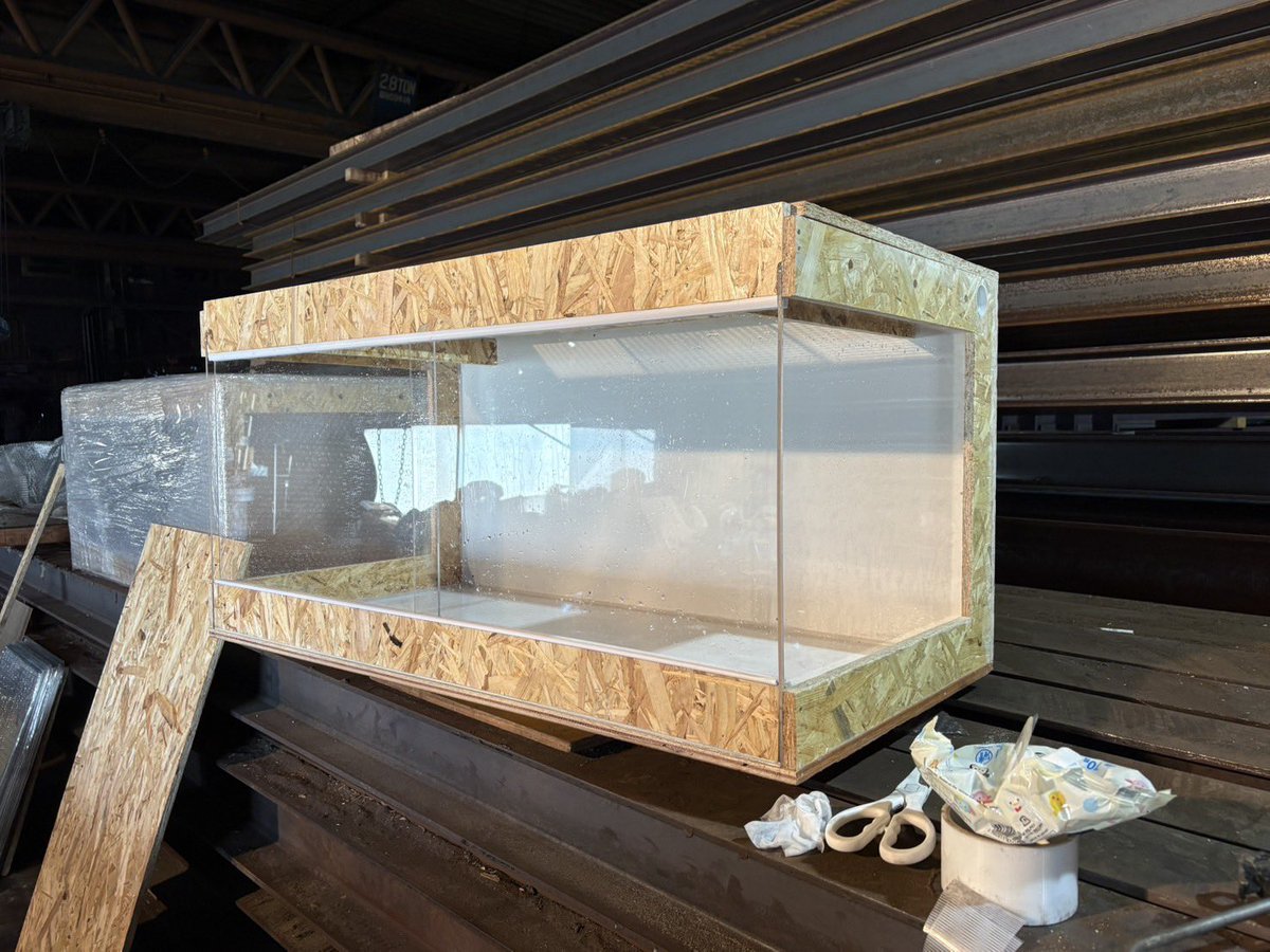 いつもありがとうございます！ 忙しくてなかなか プレゼント企画が進み