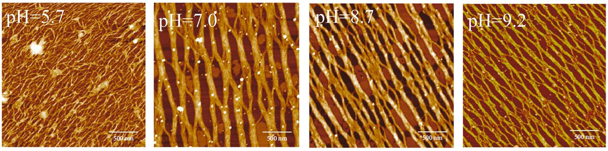 Gels_MDPI's tweet photo. #Highly_cited
📢 "Self-Assembly Behavior of Collagen and Its Composite Materials: Preparation, Characterizations, and Biomedical Engineering and Allied Applications" by Chengfei Yue et al.
👉https://t.co/BNbKGgNXwr
#collagen #self_assembly #composite_materials https://t.co/MpZPtfPfNC