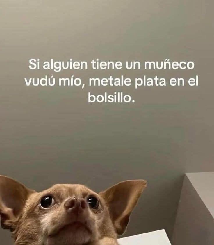 Y quítele relleno de la barriga.