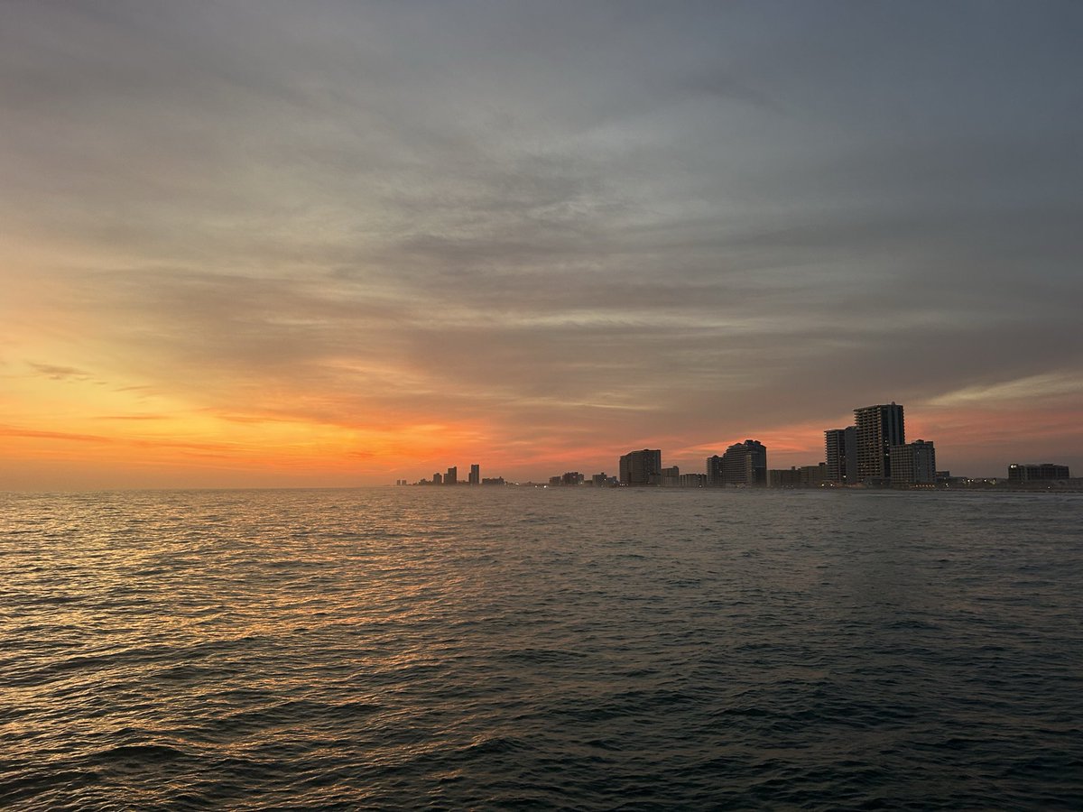 Hey White South Africans, you won’t believe this but you can actually walk somewhere at NIGHT in the United States of America without getting robbed, raped or murdered!