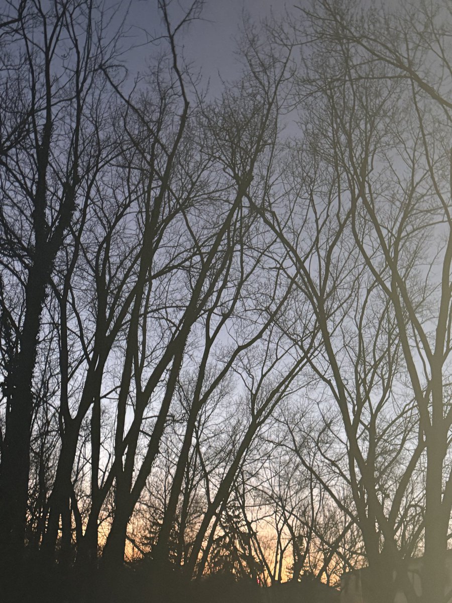 I love taking photos of the sky and trees!