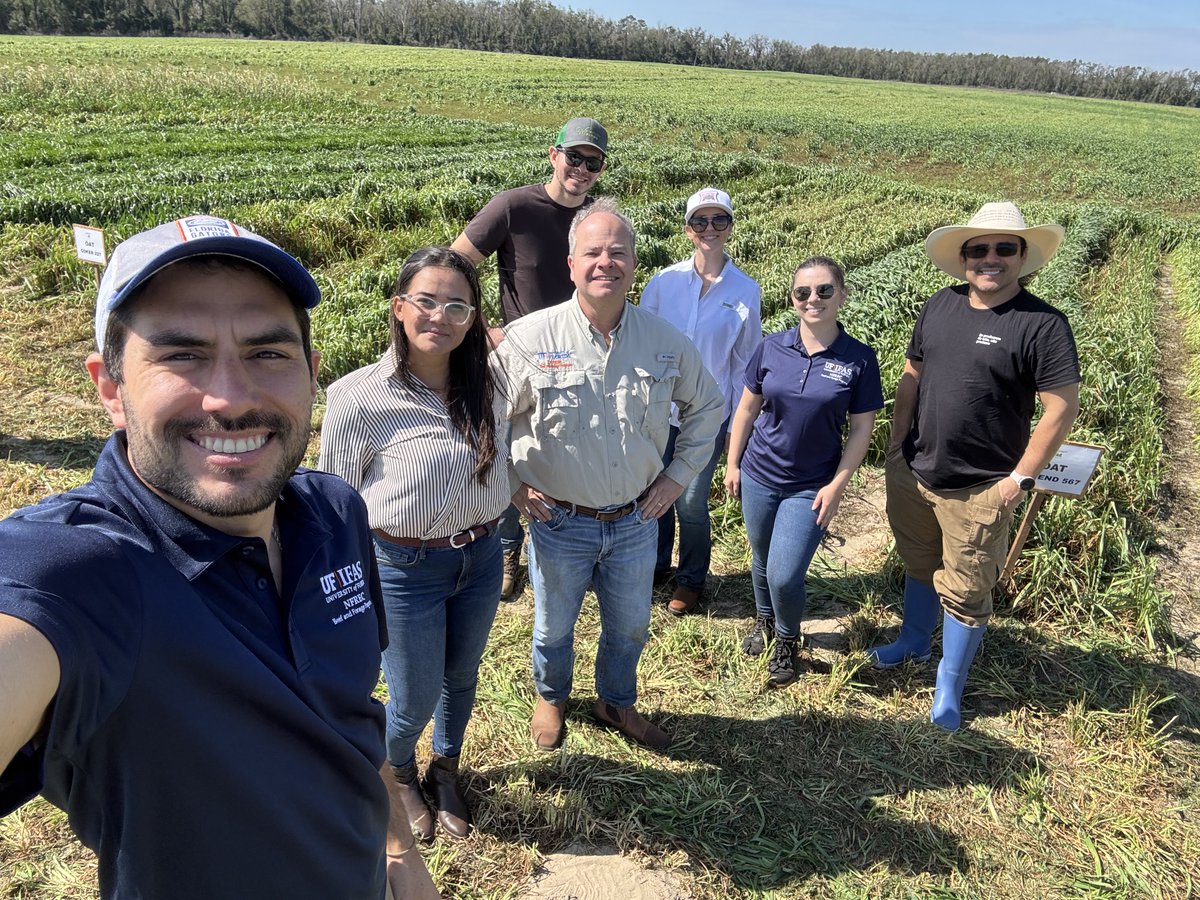 José Dubeux tweet media