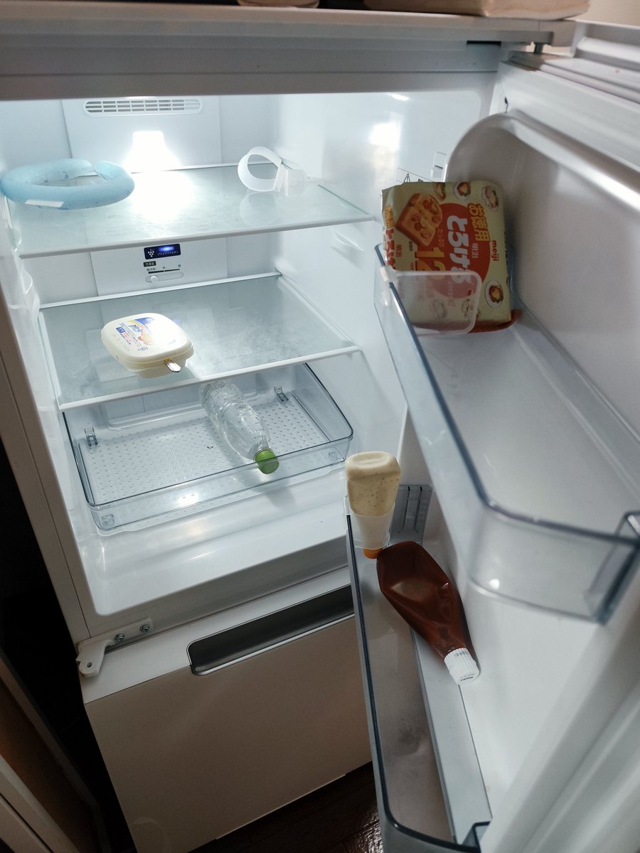 うっちー✨こめとらぴょん✨🍙🐯 tweet media