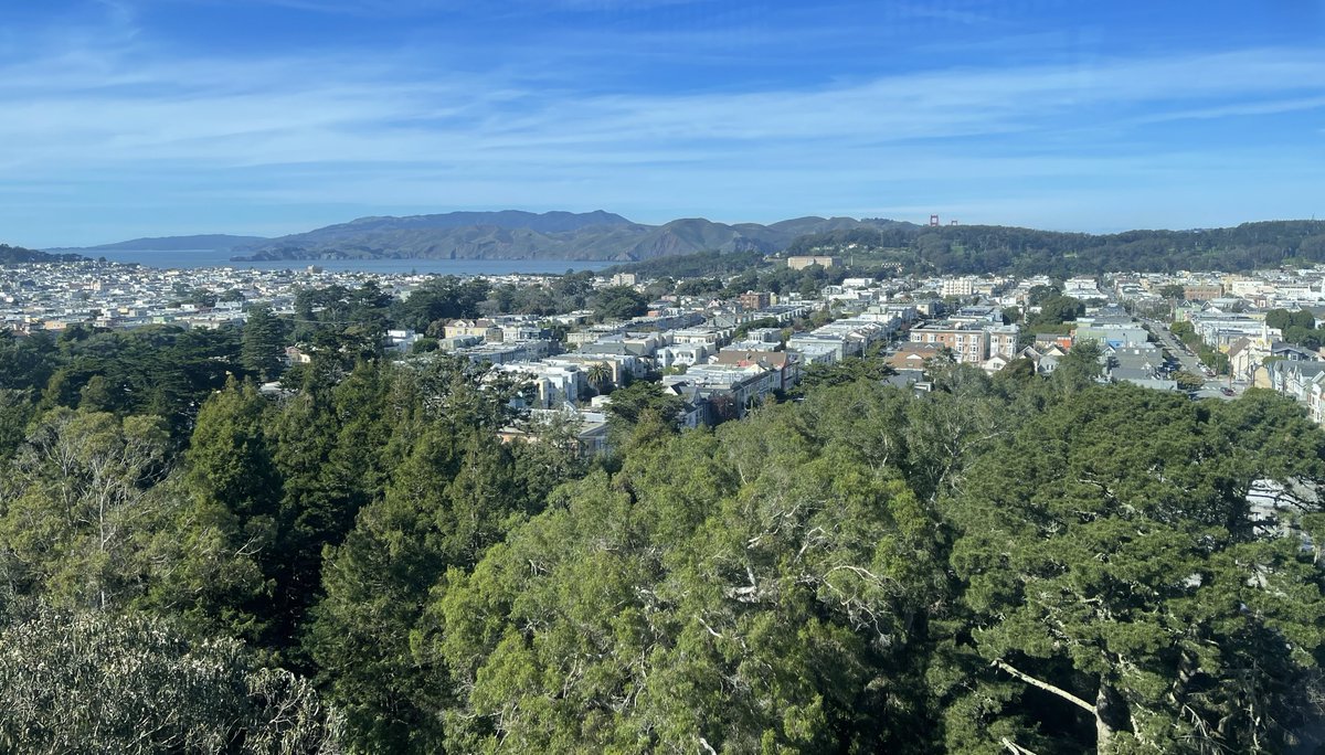 Professor Frances Separovic tweet media