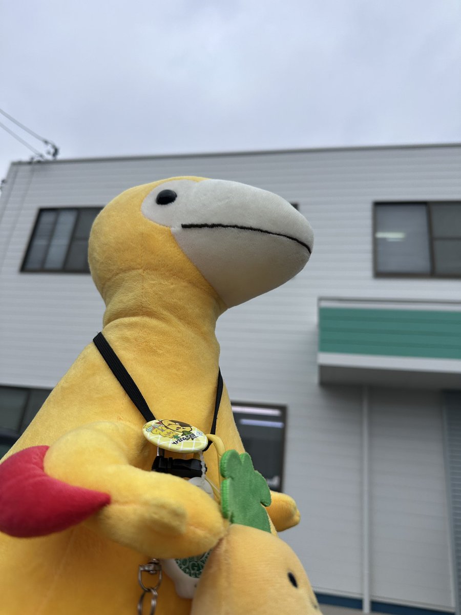 岡崎 体育 パピコ｛官网：701.tw｝.qqa