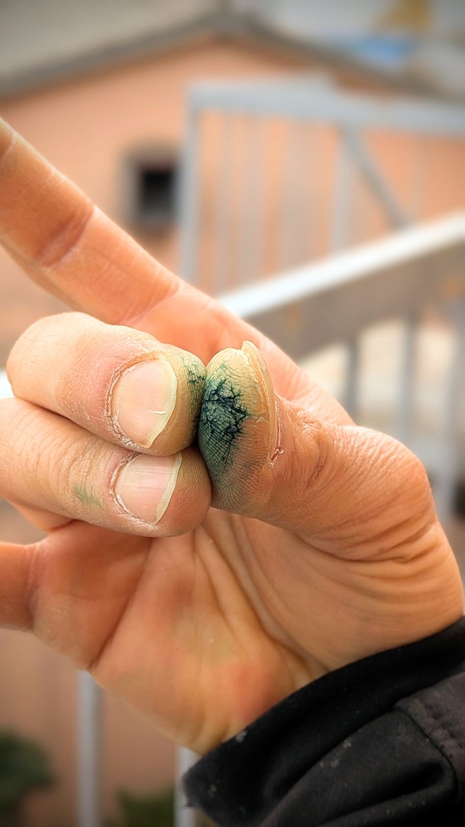 にぽぽ/nipopo tweet media