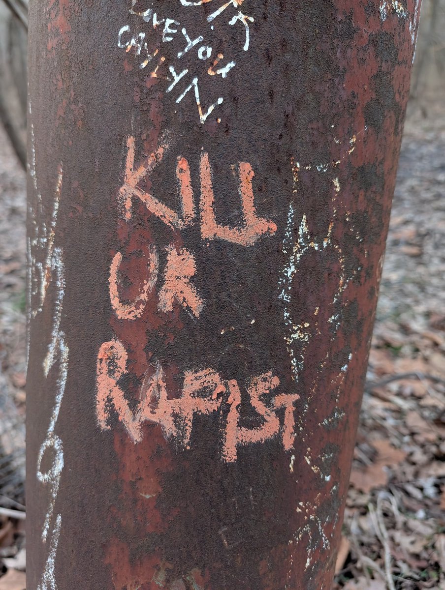 Alana McLaughlin🏳️‍⚧️ tweet media