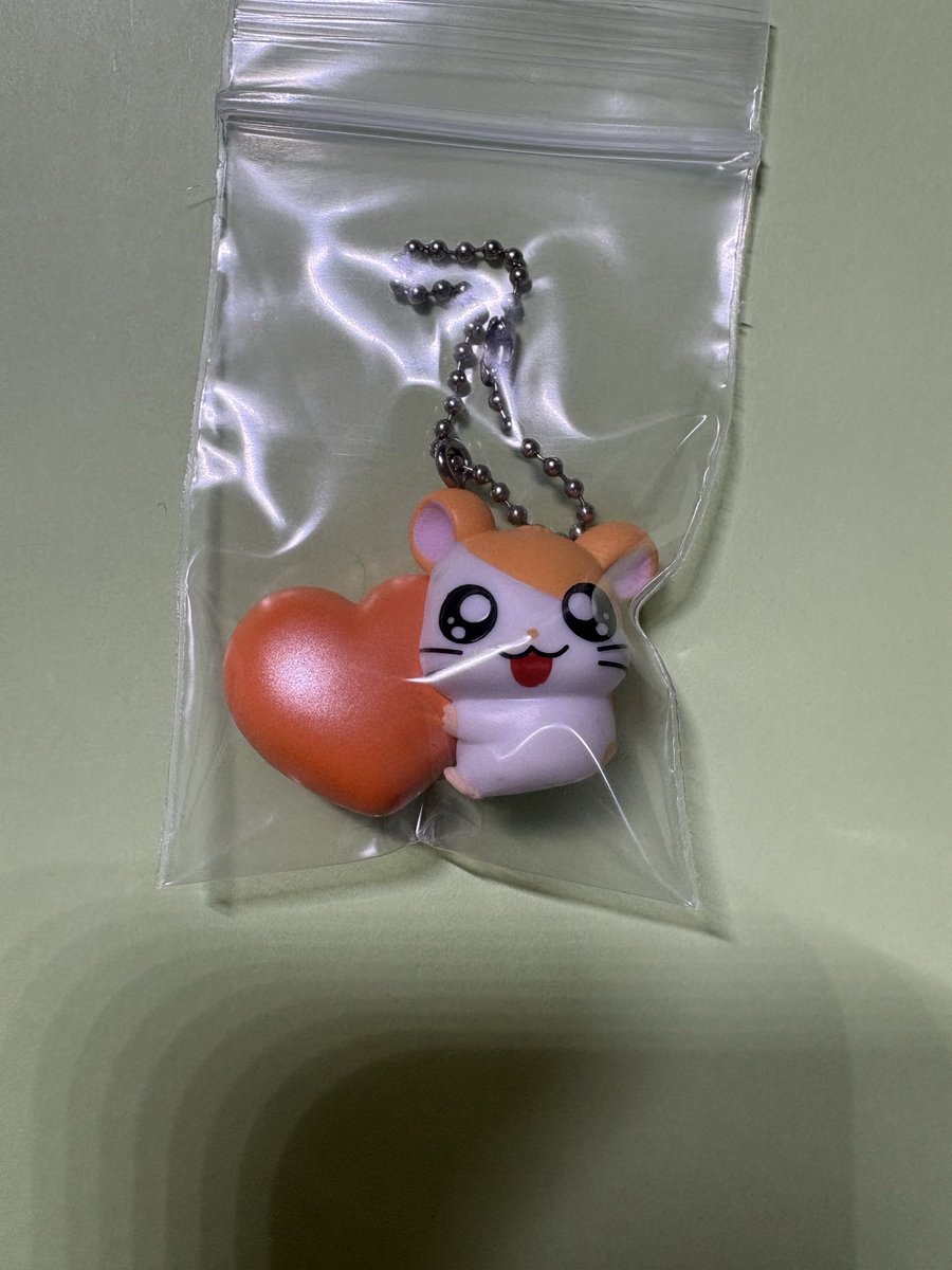 いぇとの交換、共同購入垢🐈‍⬛ tweet media