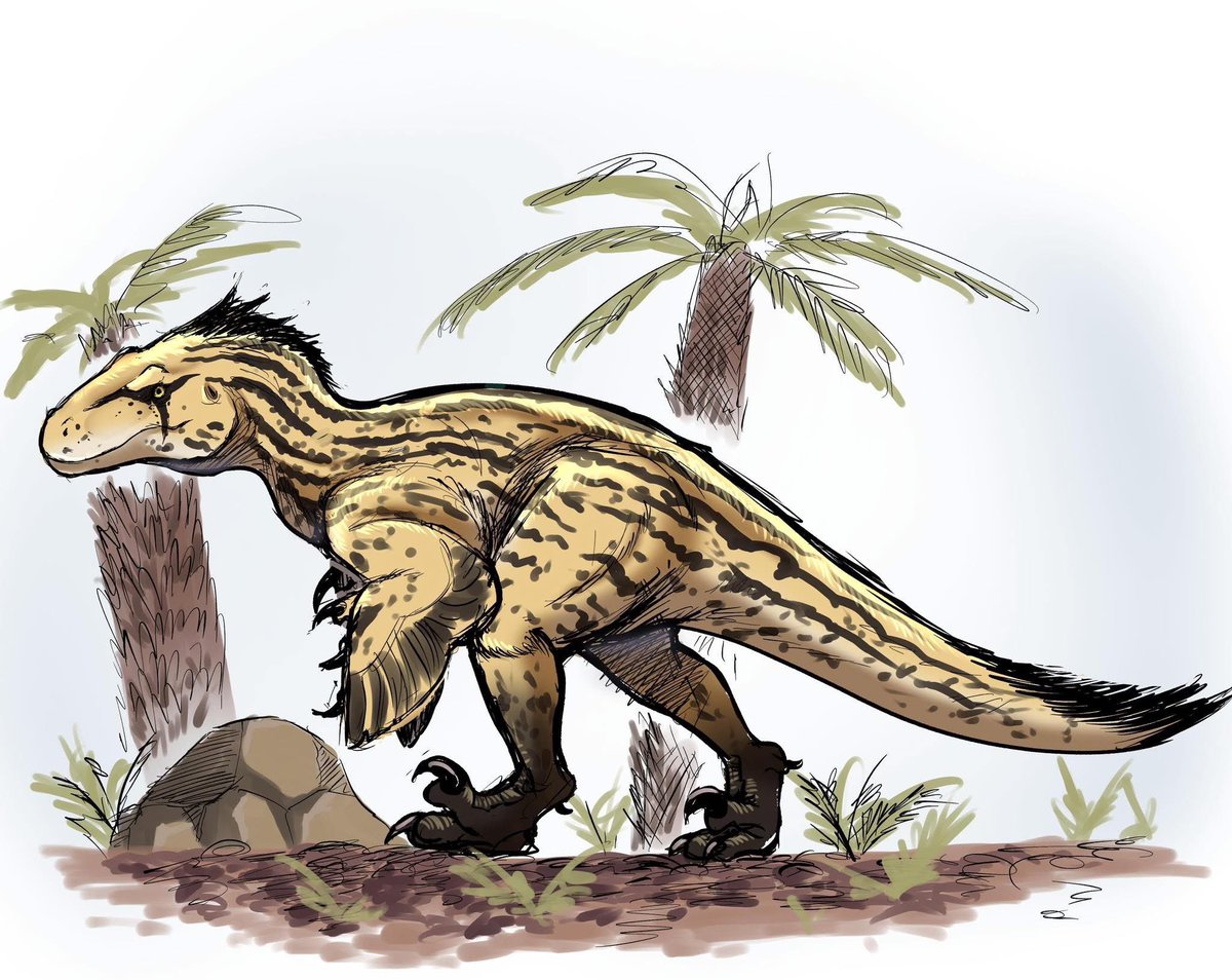 Mayzuu/ Mizu tweet media