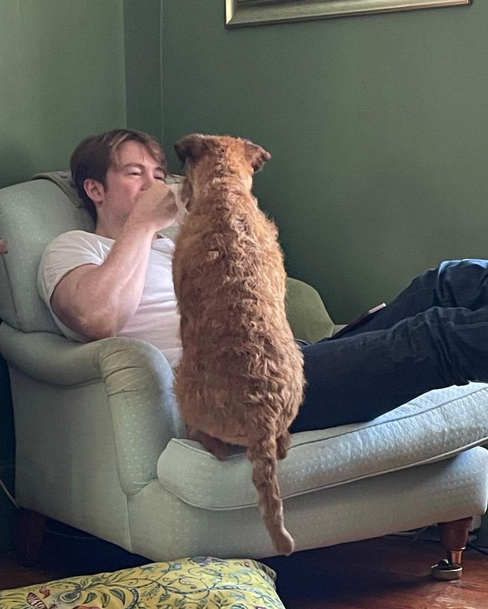 best of kit connor tweet media