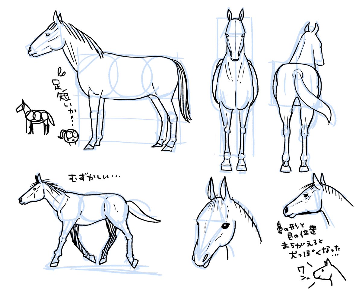 今日は馬を練習!

迫力のある馬が描きたくて練習しているけど、まだまだ基本さえできていない状態だなあ。とにかく、見て、描いて、見て、買い手を繰り返すしかないですね。

資料は、マール社の『HORSE━やさしい馬の描き方』。
形の捉え方から教えてくれるから、めちゃくちゃ親切。 