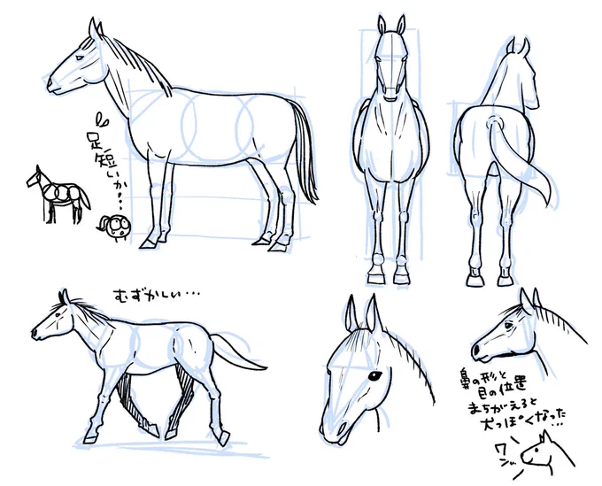 今日は馬を練習!

迫力のある馬が描きたくて練習しているけど、まだまだ基本さえできていない状態だなあ。とにかく、見て、描いて、見て、買い手を繰り返すしかないですね。

資料は、マール社の『HORSE━やさしい馬の描き方』。
形の捉え方から教えてくれるから、めちゃくちゃ親切。 