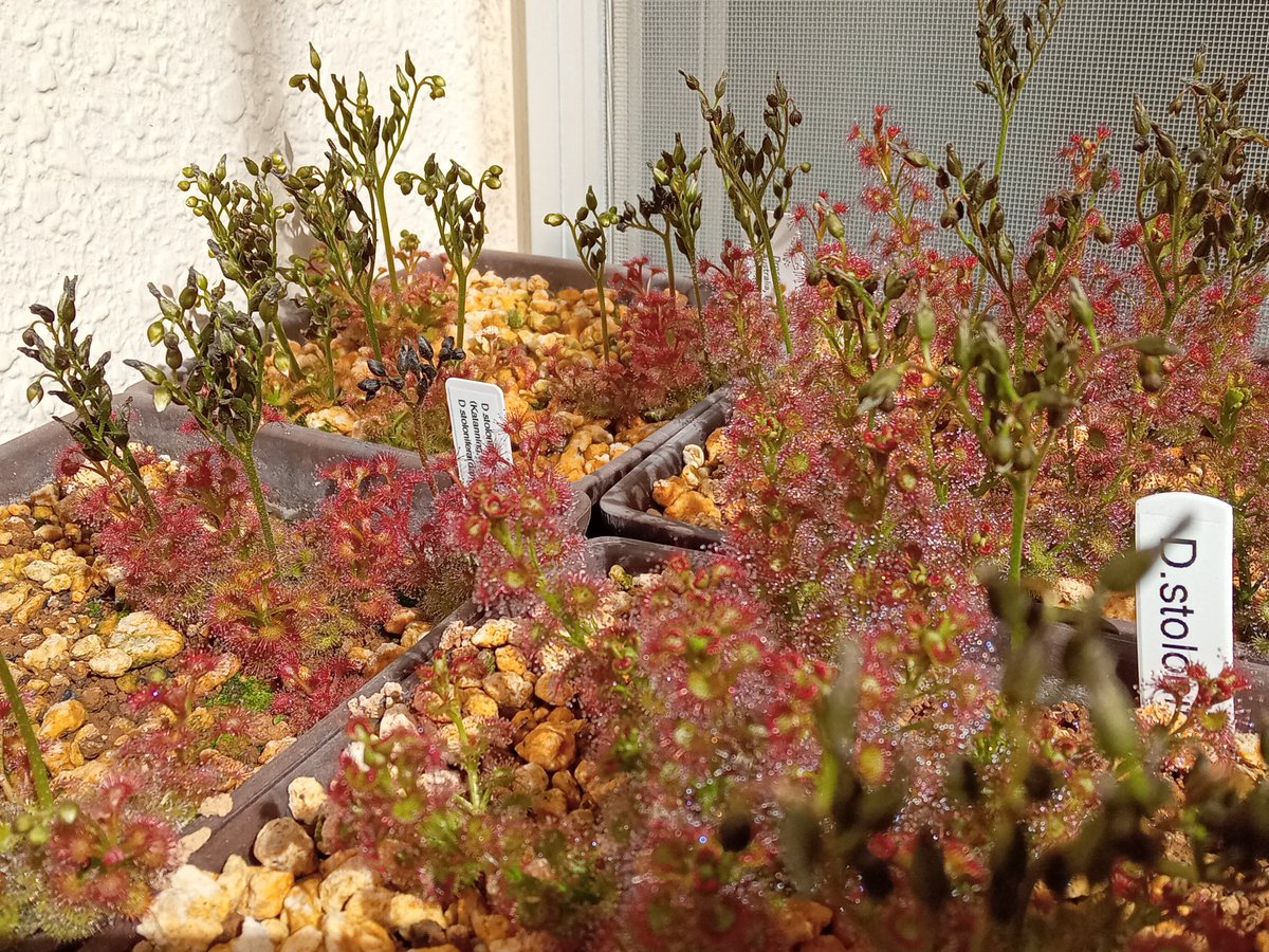 鍵の君 (@kaginokimi0077) / Posts / X