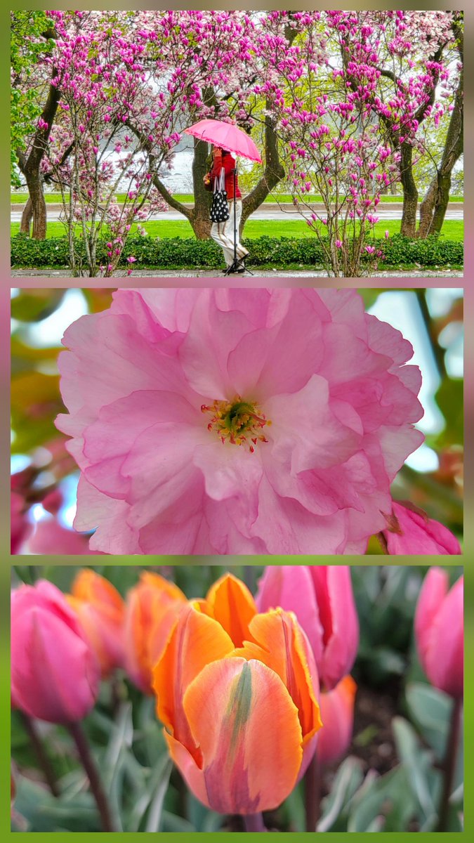 Kat_in_niagara's tweet image. My spring pics gave a glimpse of hope as winter ends, so I made collages, here's one:🌷🍀🙂
#niagarafalls #ShareYourWeather @ThePhotoHour #StormHour