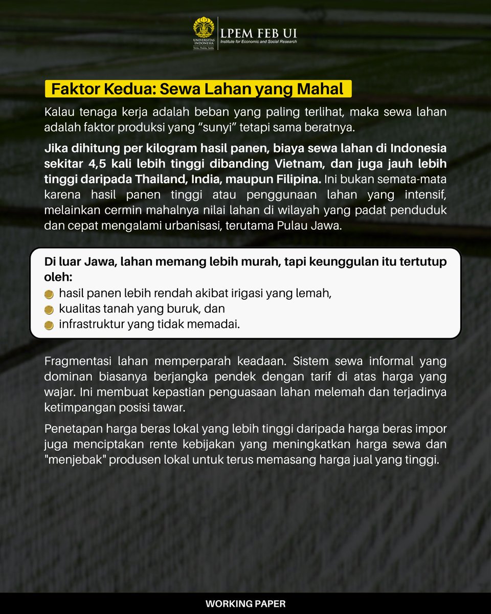 LPEM FEB UI tweet media