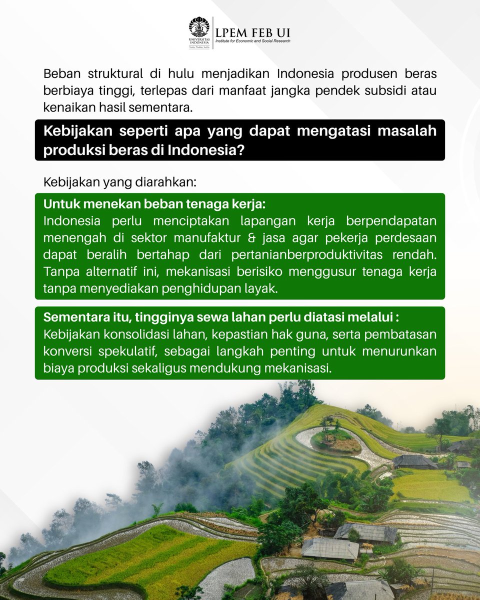 LPEM FEB UI tweet media