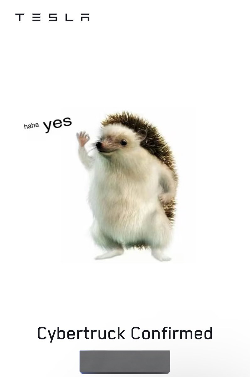 Whole Mars Catalog tweet media