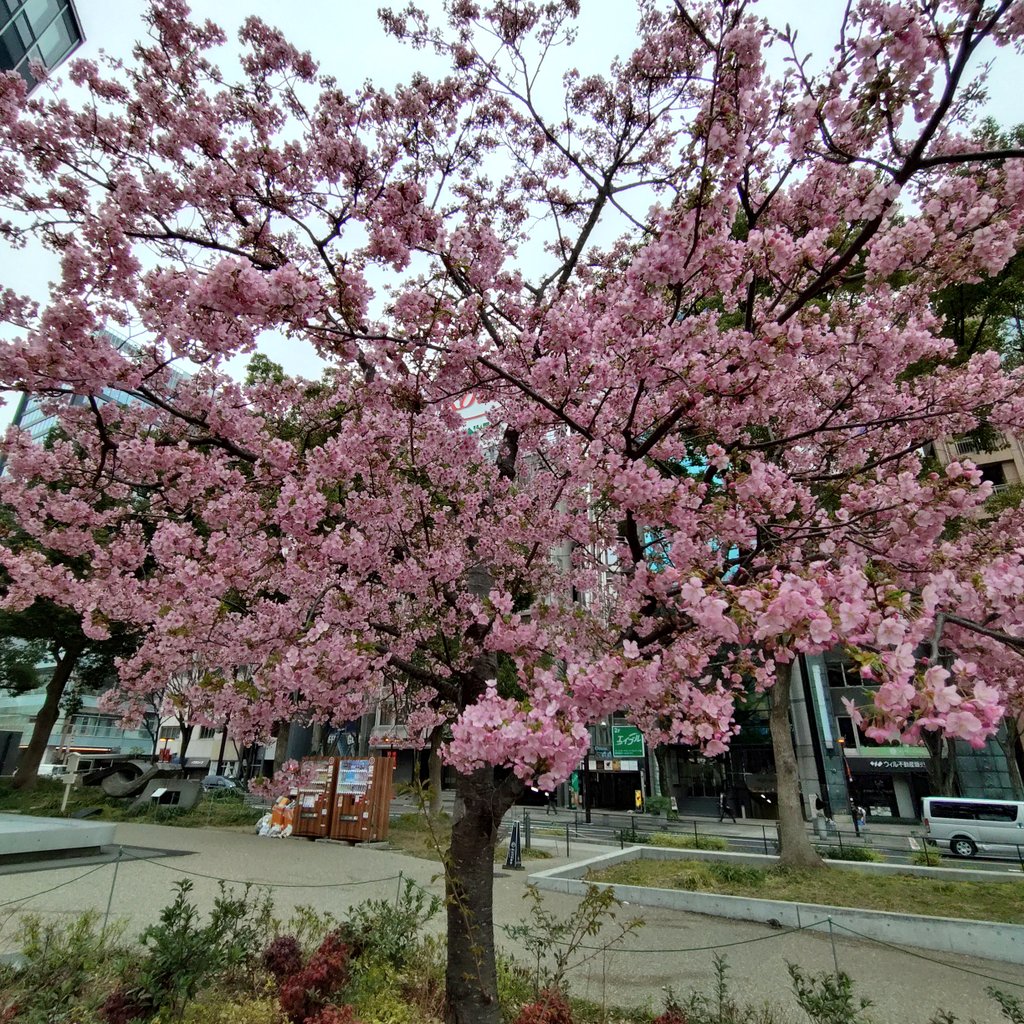 中部電力 MIRAI TOWER tweet media