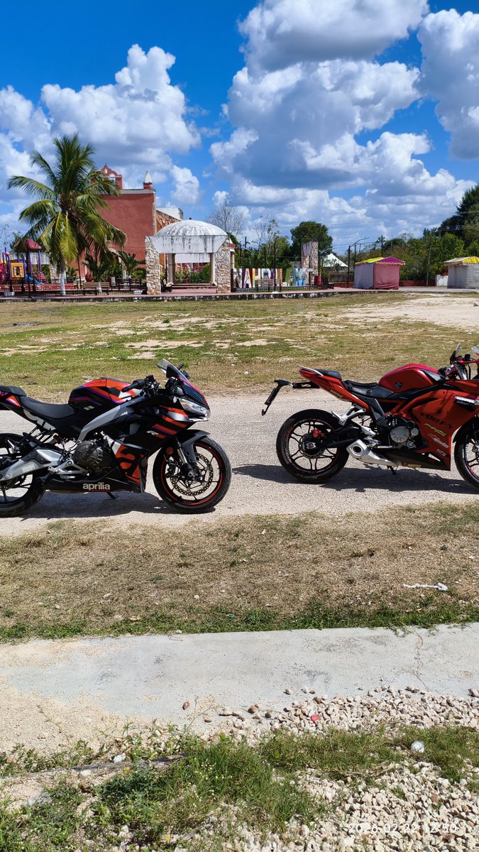 VuelaDragon's tweet photo. Calor... 🥵🫠🌞🐆 https://t.co/PbCS2trztK