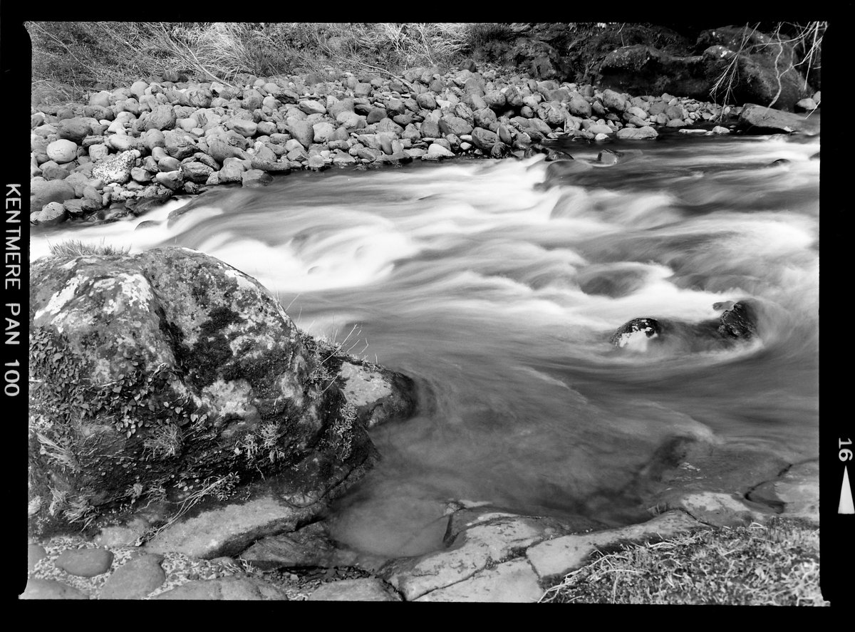 VØNPhoto tweet media