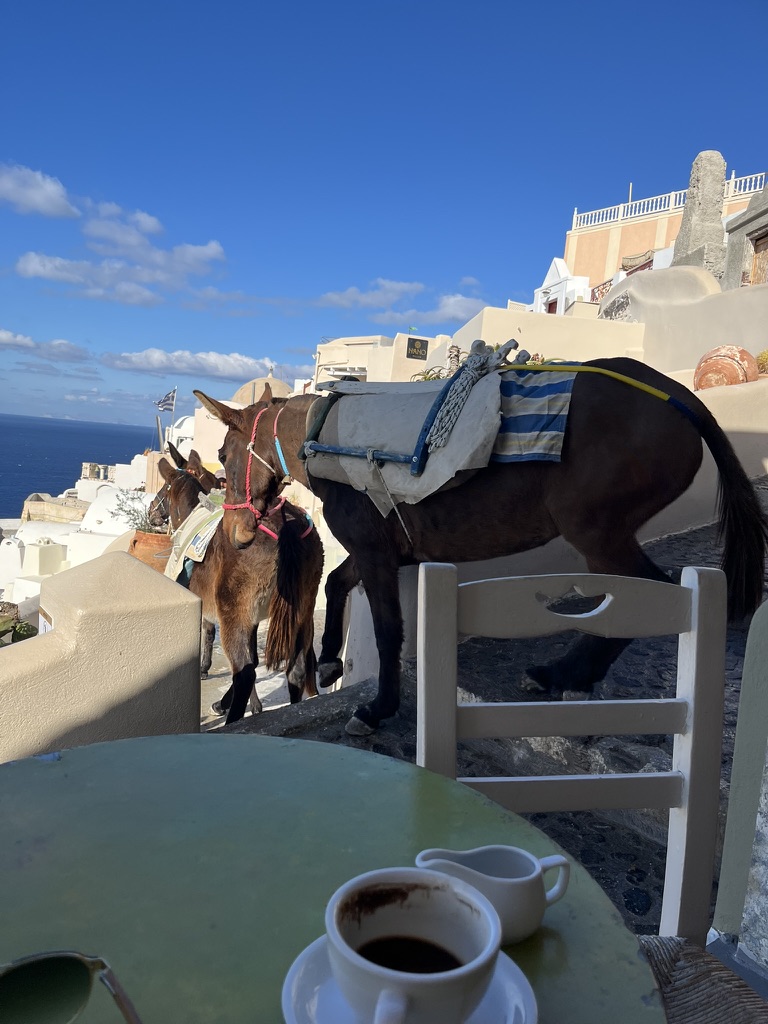 camadeanima's tweet photo. お茶濁しに旅の写真でも　去年11月に10年ぶり？くらいにギリシャに行きました、念願の島巡りができてよかった https://t.co/Jd0bSP69Ut
