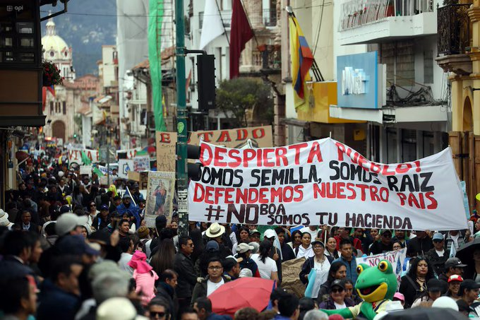 Alberto Acosta tweet media