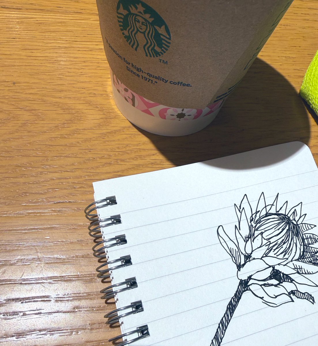 ベロニカ都登🐅velonyca toto (@velonyca) / Posts / X