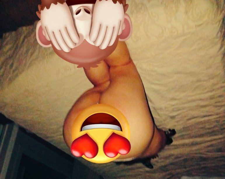 Ibañez XD tweet media