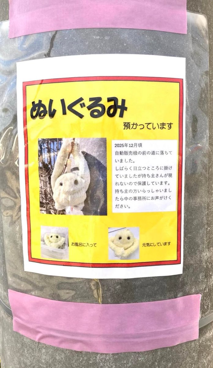 omegudayon's tweet photo. お風呂に入れてもらって元気にしてるぬい、可愛すぎる😭🌟 https://t.co/aY1pnfyP4p