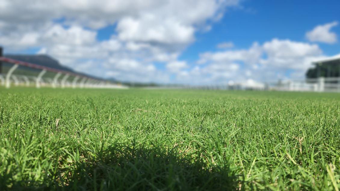 Michael Charge tweet media