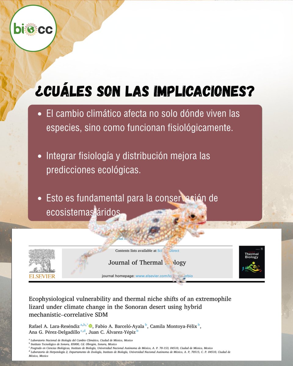 LNCBioCC tweet media