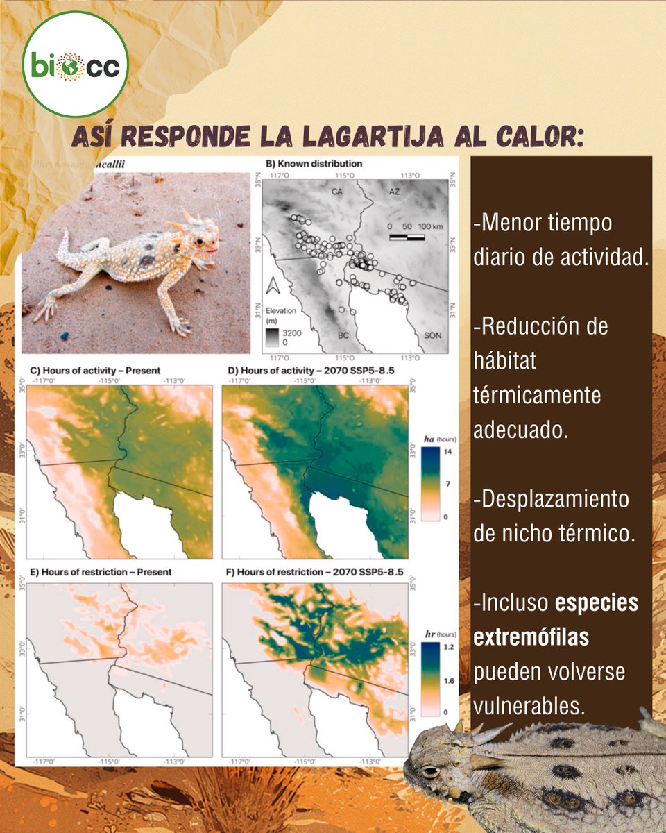 LNCBioCC tweet media