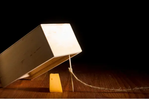 verm 🍉 tweet media