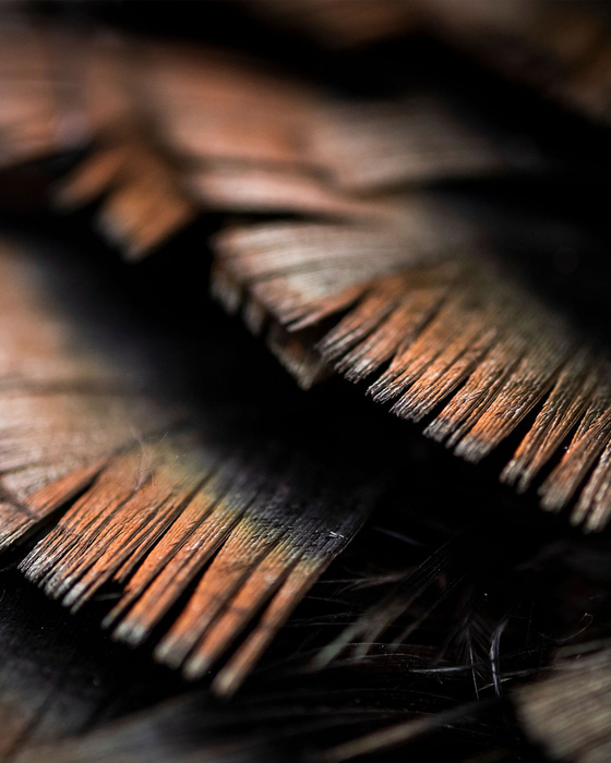 Realtree tweet media