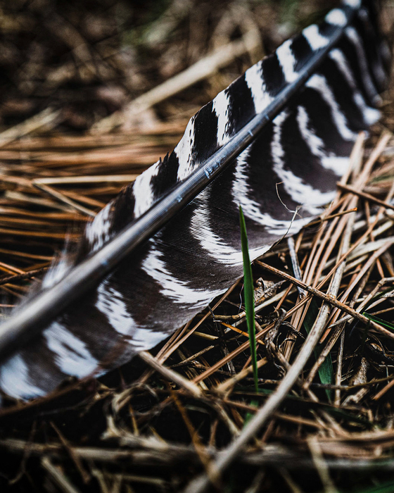 Realtree tweet media