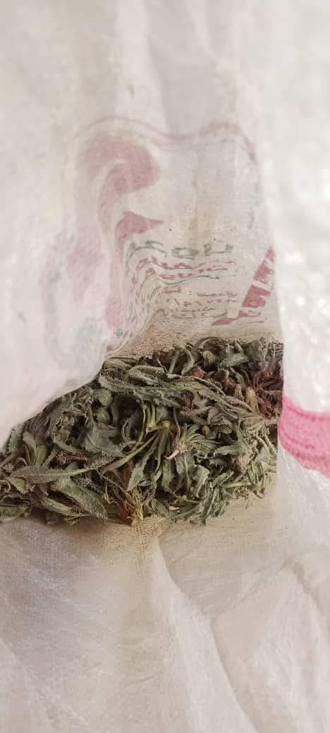 منذ ثلاثة أيام انفجرَ لغم ارضي من مخلفات تنظيم قسد YPG/PKK بشابين في جبل عبد العزيز، أثناء بحثهما عن بعض (النباتات) لطبخها، ما أدى لفقدان الشاب "عز الدين محمد" لبصرهِ بسبب شظايا اللغم التي أتلفت عينيه. 
 في منطقة منكوبة أصلاً وتفتقر لمقومات الحياة، والتي تعتبر مدينة الحسكة